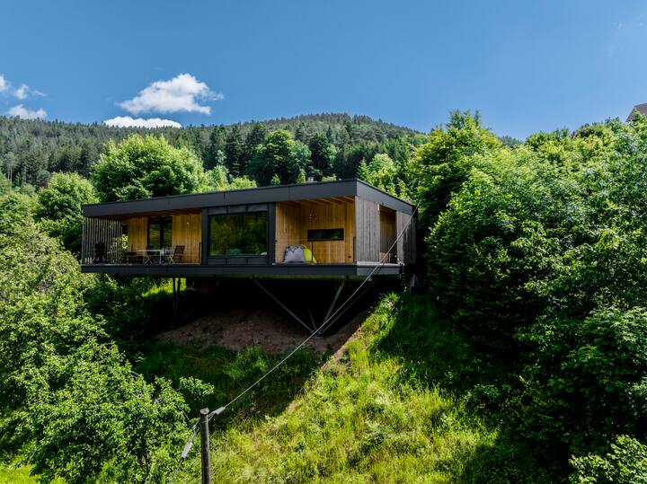 new wooden house in the middle of the Black Forest