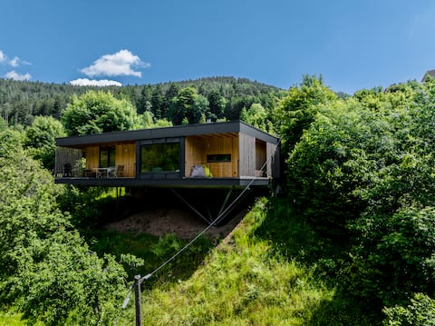 new wooden house in the middle of the Black Forest