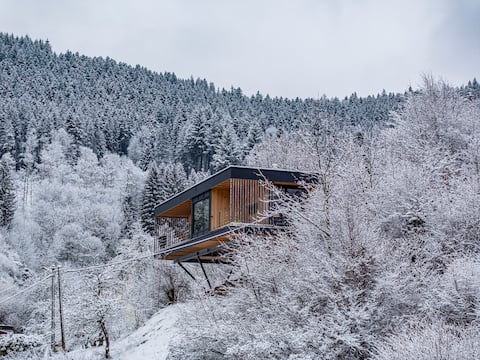 new wooden house in the middle of the Black Forest