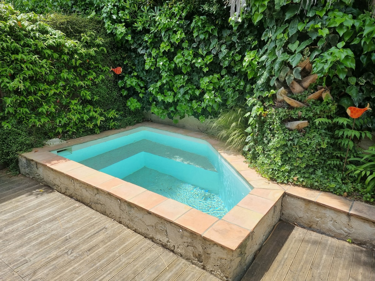 A small pool with a unique shape is surrounded by lush greenery, creating a serene environment. The pool's water glistens in the sunlight, while terracotta tiles frame its edges, offering a natural touch to the inviting space.