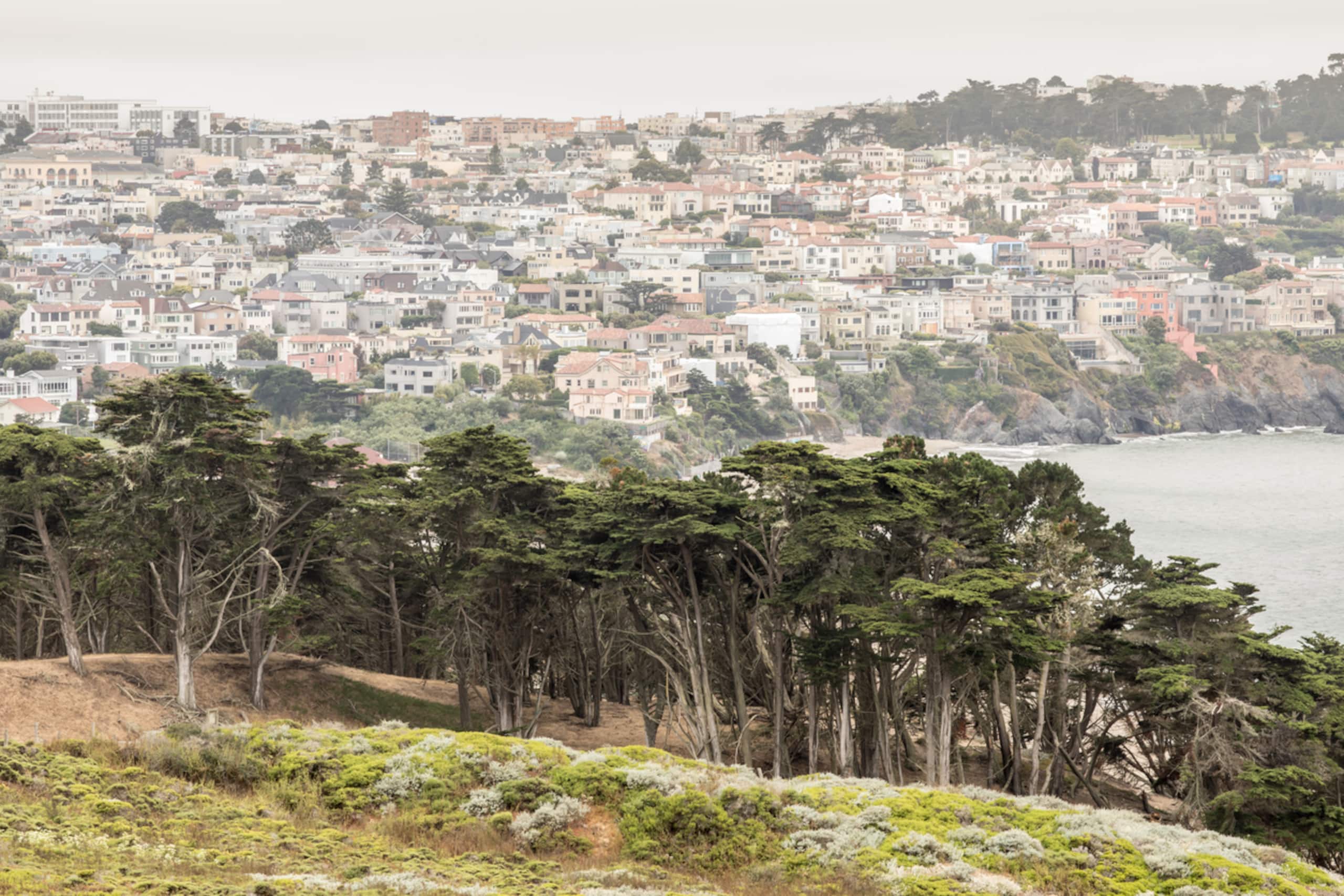 Home in San Francisco · ★4.93 · 3 bedrooms · 4 beds · 2.5 baths - Image 25