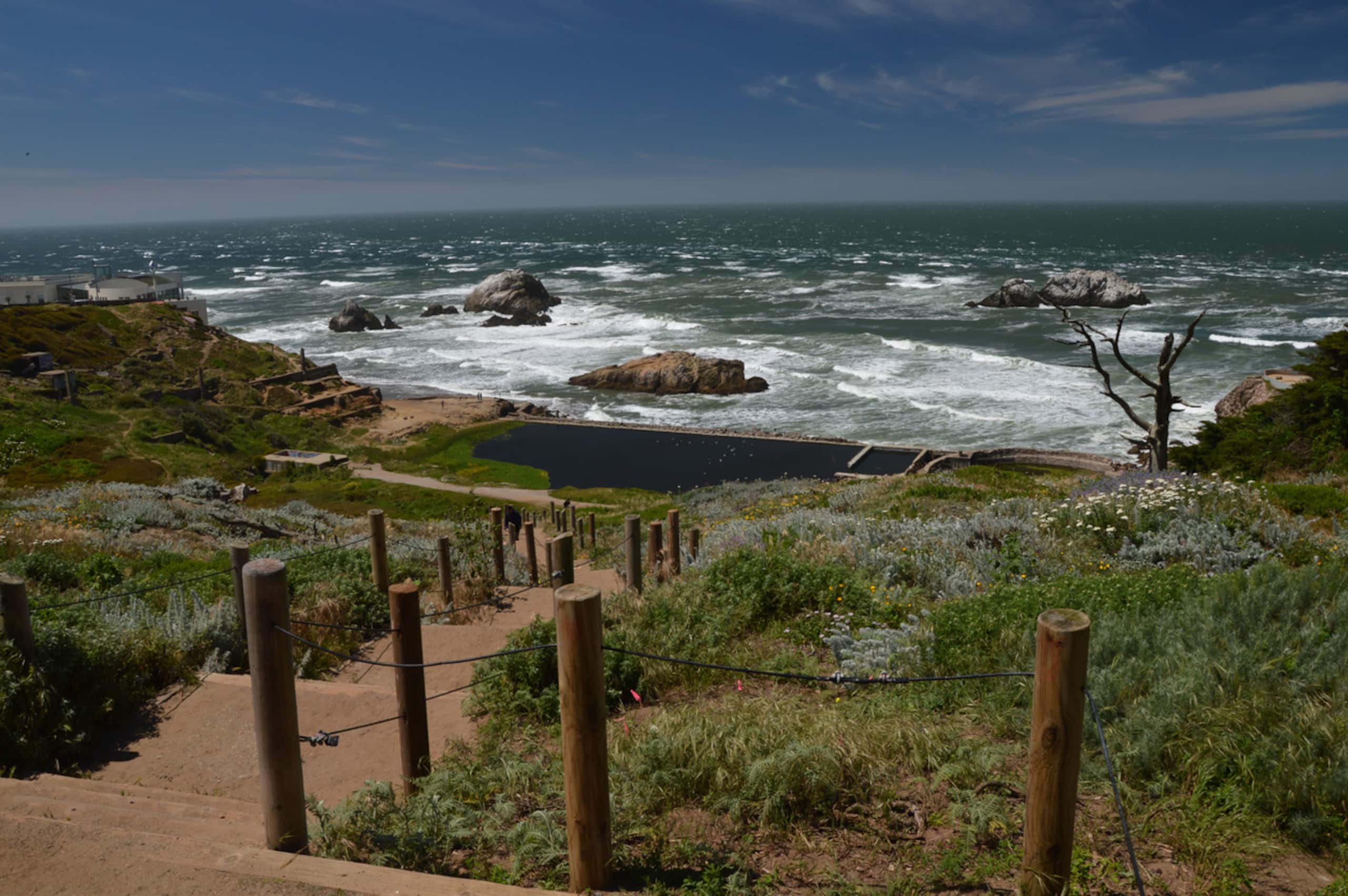 Home in San Francisco · ★4.93 · 3 bedrooms · 4 beds · 2.5 baths - Image 22