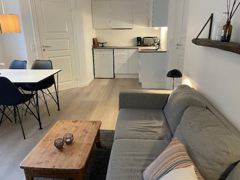 50 meters from Varde square, TOTALLY renovated!