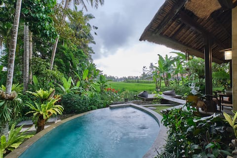 Antique 2BR Villa - Private Pool with Rice Views