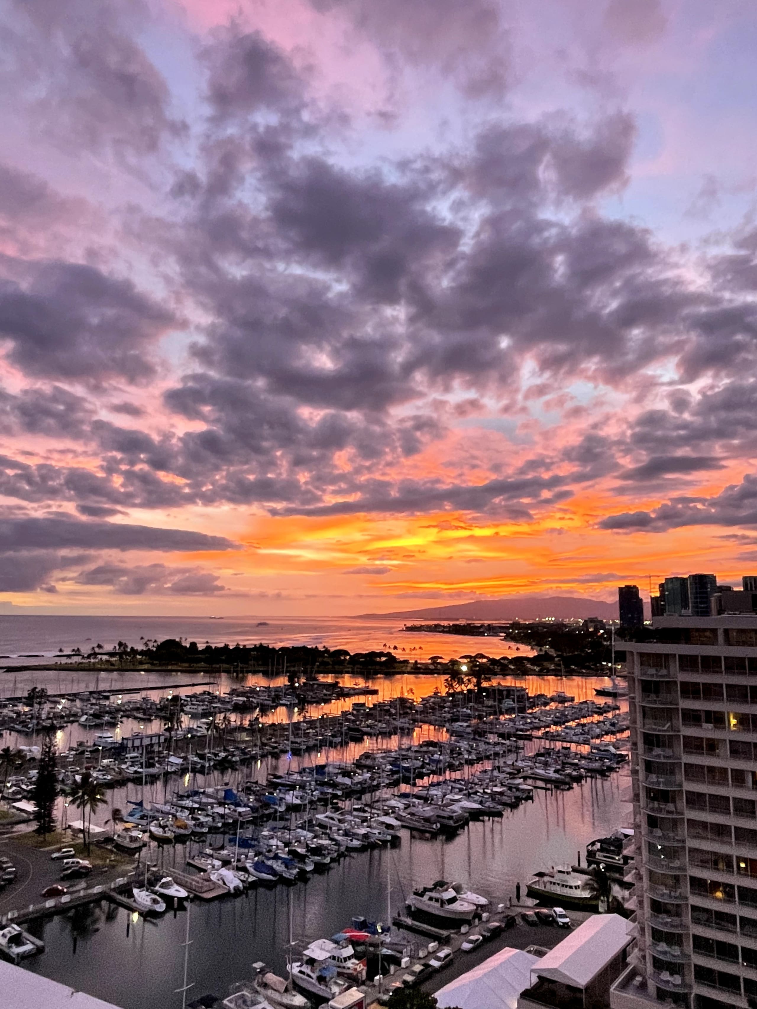 Condo in Honolulu · ★4.81 · Studio · 2 beds · 1 private bath - Image 68