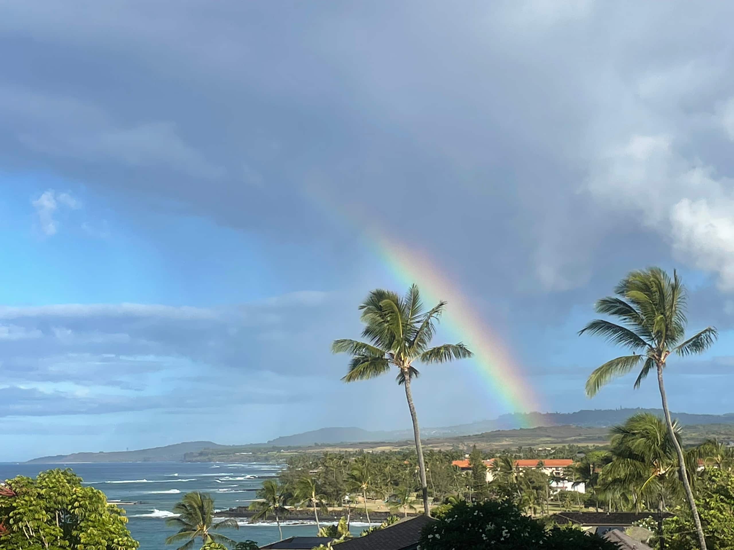 Condo in Koloa · ★4.98 · 1 bedroom · 1 bed · 1 bath - Image 14
