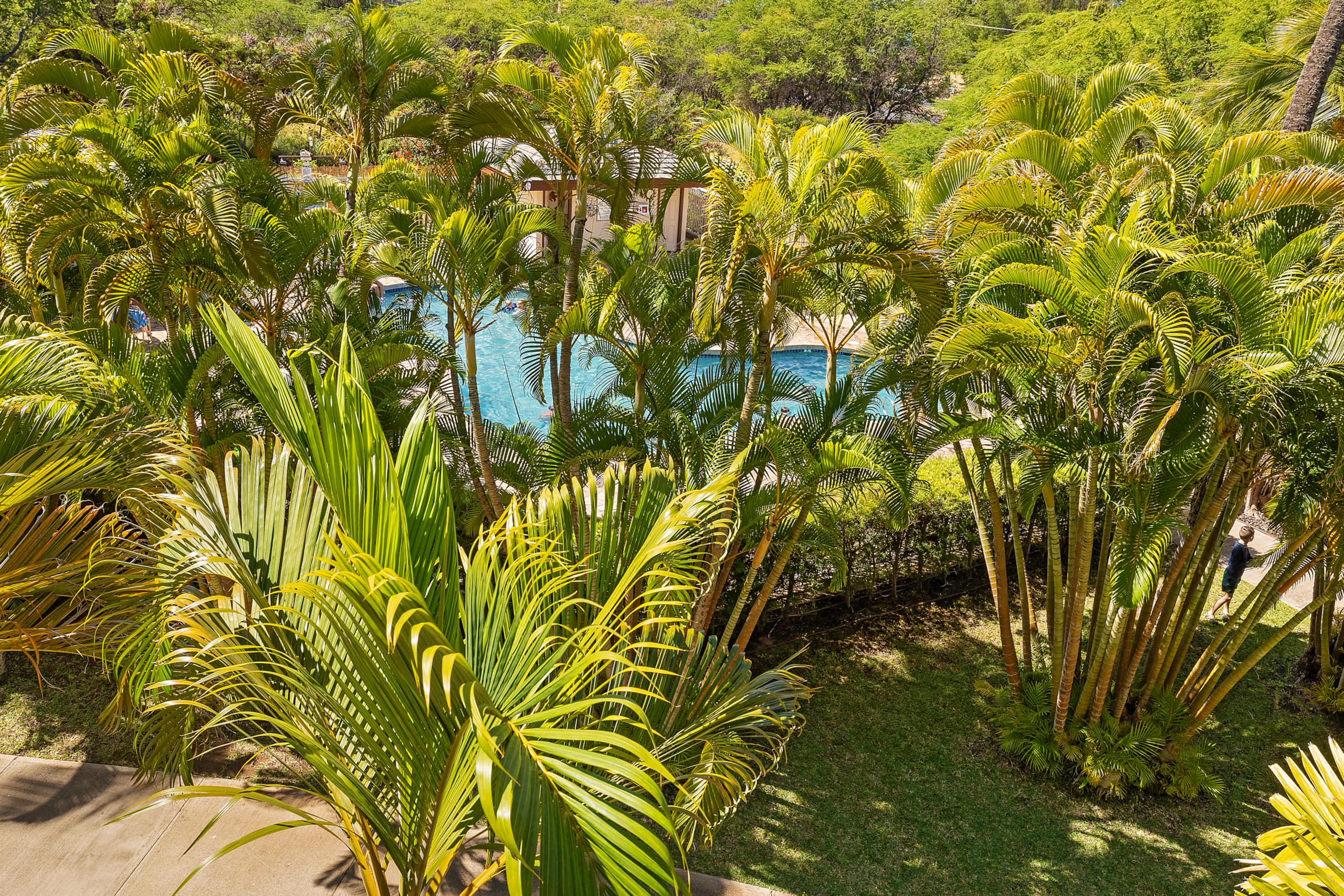 Condo in Kihei · ★4.9 · 1 bedroom · 1 bed · 2 baths - Image 32