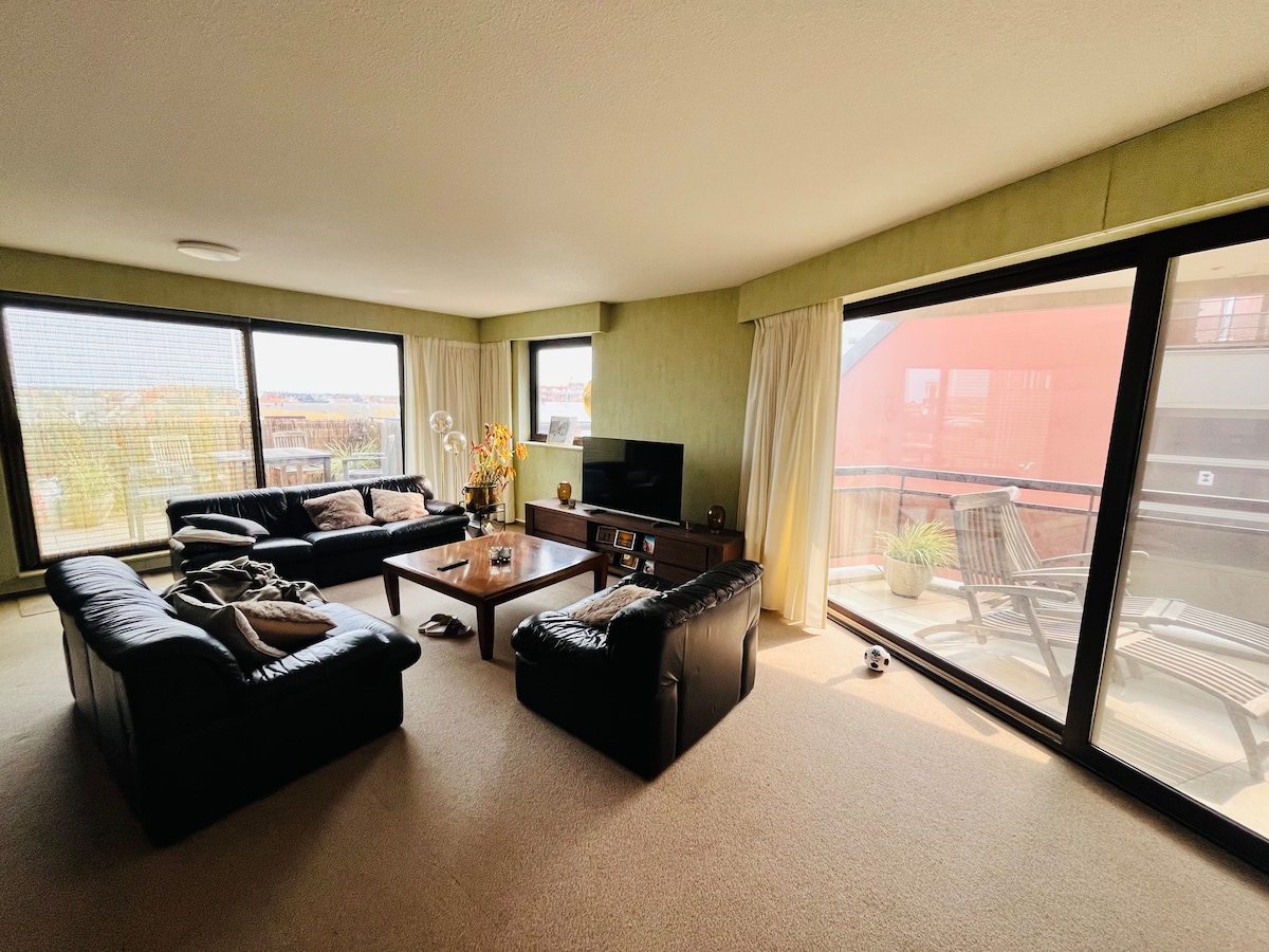 Successful Airbnb property: App. 4 pers. on beach with garage in Blankenberge