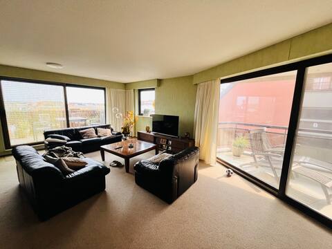 Successful Airbnb property: App. 4 pers. on beach with garage in Blankenberge