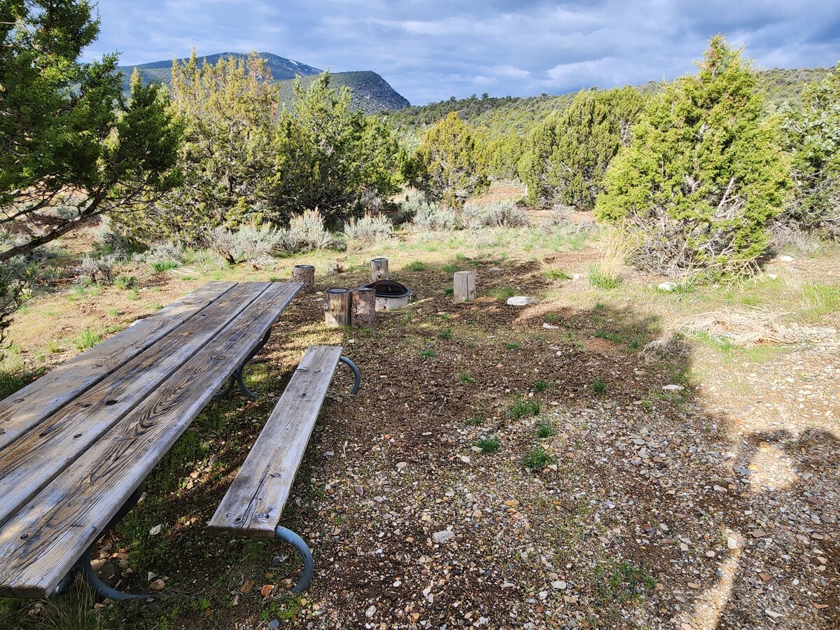 A picnic table with attached benches is situated on a gravel surface, surrounded by native vegetation. A fire pit with log seating is placed nearby, offering an outdoor gathering space. Forested mountains are visible in the distance under a partly cloudy sky.