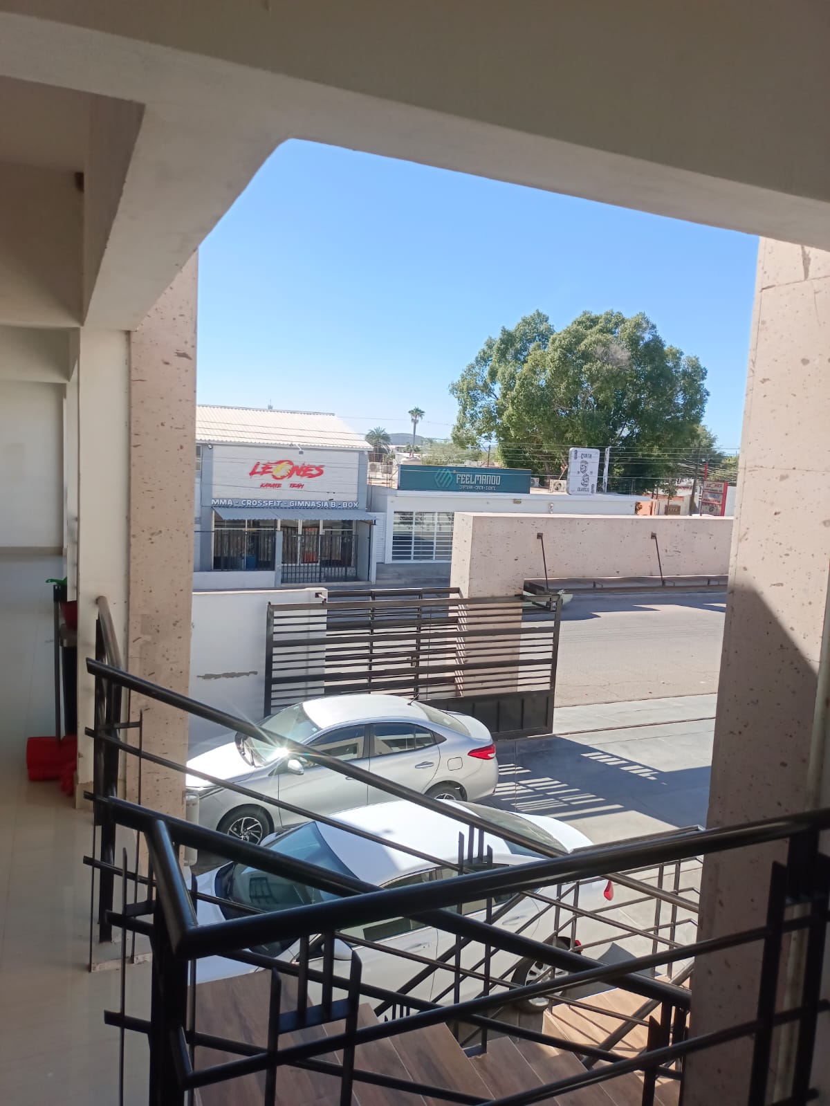 A view from a balcony displays a street scene featuring a store named Le Chis, situated behind a gated area. A parked car is visible in the foreground, while trees and clear blue sky provide a serene backdrop.