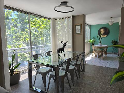 Spacious and luxurious apartment in Providencia.