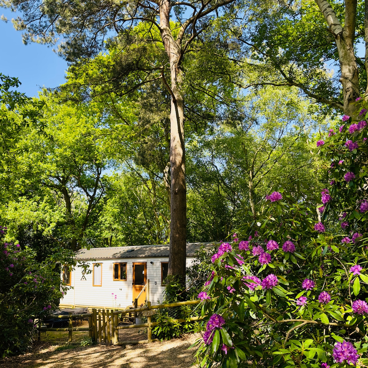 A cozy cabin nestled among tall trees and vibrant rhododendron bushes. The exterior features a light-colored siding, with large windows allowing natural light to enter. The tranquil surroundings are enveloped in lush greenery, creating a peaceful retreat.
