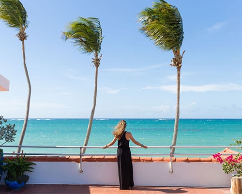 A railing-lined terrace overlooks the tranquil turquoise ocean, with gentle waves and a clear blue sky. Three palm trees sway softly in the breeze, enhancing the coastal atmosphere. Vibrant plants are positioned near the terrace, adding to the inviting outdoor space.