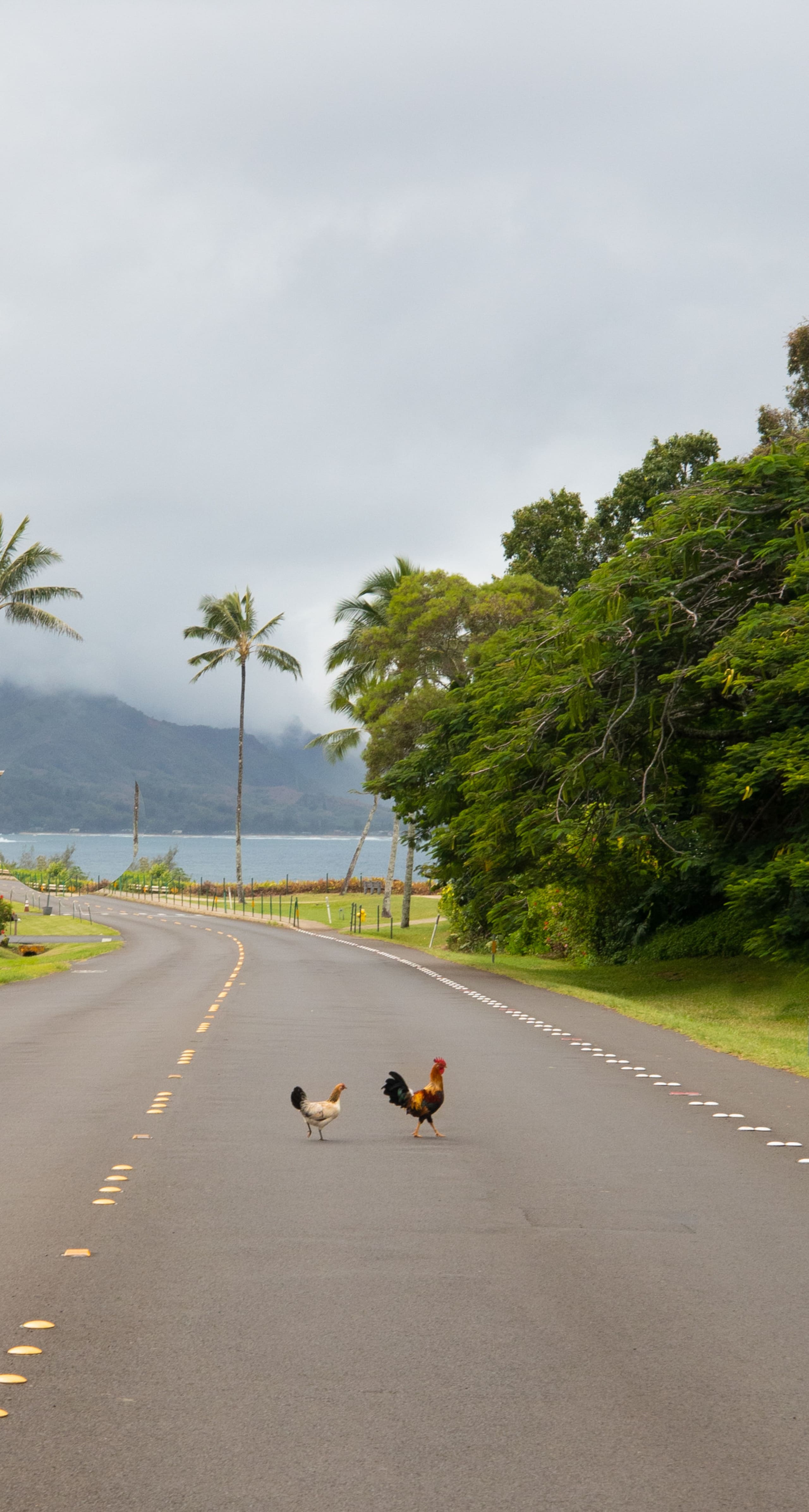 Condo in Princeville · ★4.96 · 2 bedrooms · 3 beds · 2 baths - Image 69