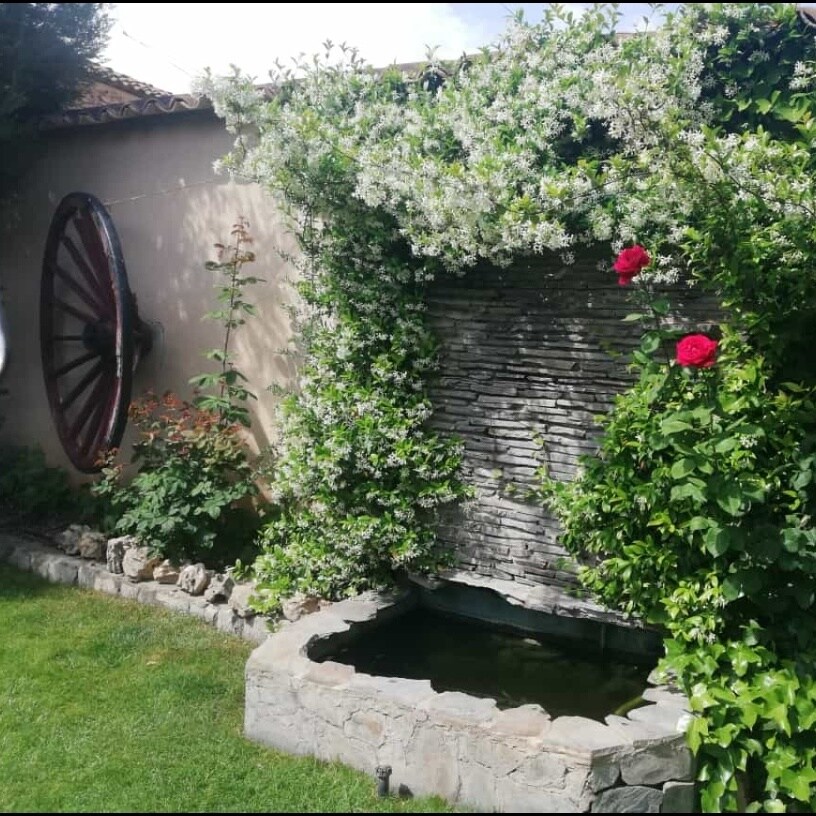 A serene garden area features a stone pond surrounded by lush greenery, with vibrant roses adding color. A textured stone wall is adorned with climbing plants, while a decorative wheel contributes to the rustic charm of the space.