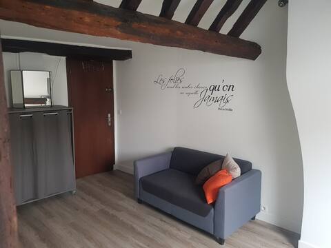Successful Airbnb property: Cozy studio near Disney in Lagny Sur Marne