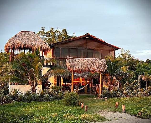 The beach house features a charming thatched roof and multiple levels, surrounded by tropical plants and palm trees. An outdoor seating area is visible, providing a relaxing spot. The tranquil setting emphasizes the proximity to the beach, enhancing the natural beauty of the space.