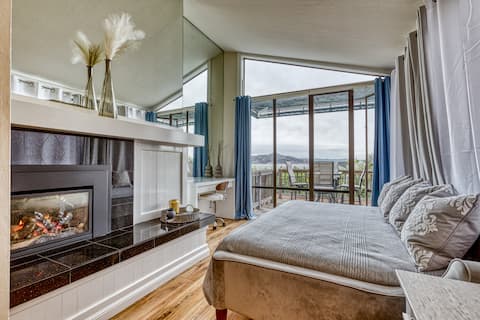 Large 1BR1BA with ocean view+walking to downtown