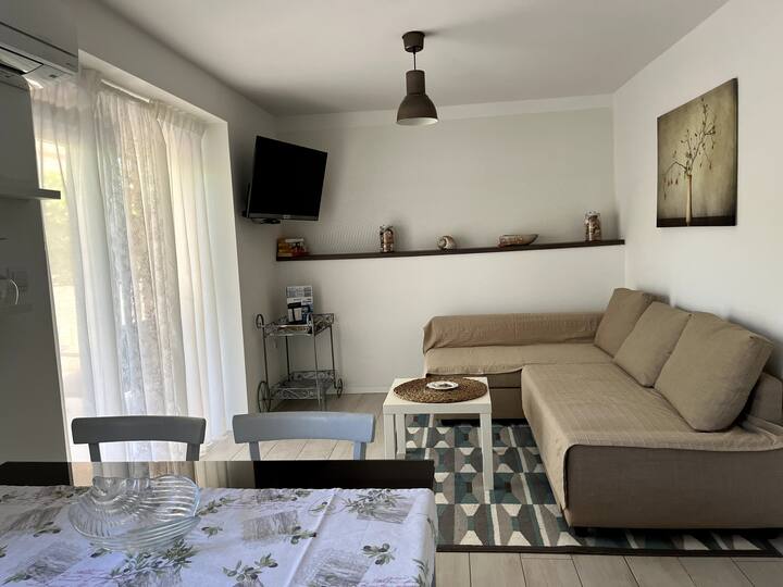 Shell / Apartments Emotion With Heated Pool - Bibinje