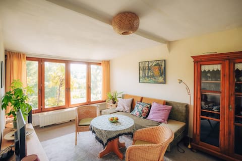 Popular Airbnb listing: Cozy apartment in Weimar in Weimar