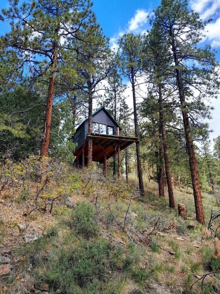 A tree house is perched among tall ponderosa pines, elevated above the ground. The exterior features a modern design with a dark facade, surrounded by a natural landscape of shrubs and grasses. Clear blue sky peeks through the tree branches.
