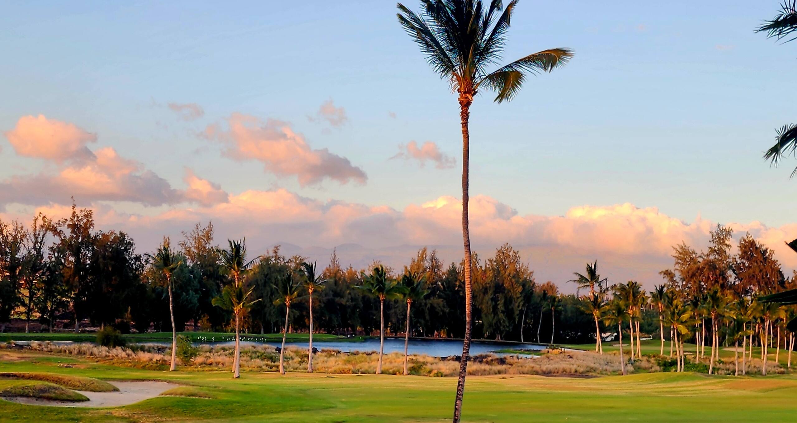 Five Star Waikoloa Beach Villa, Golf & Lake Views - Photo 17