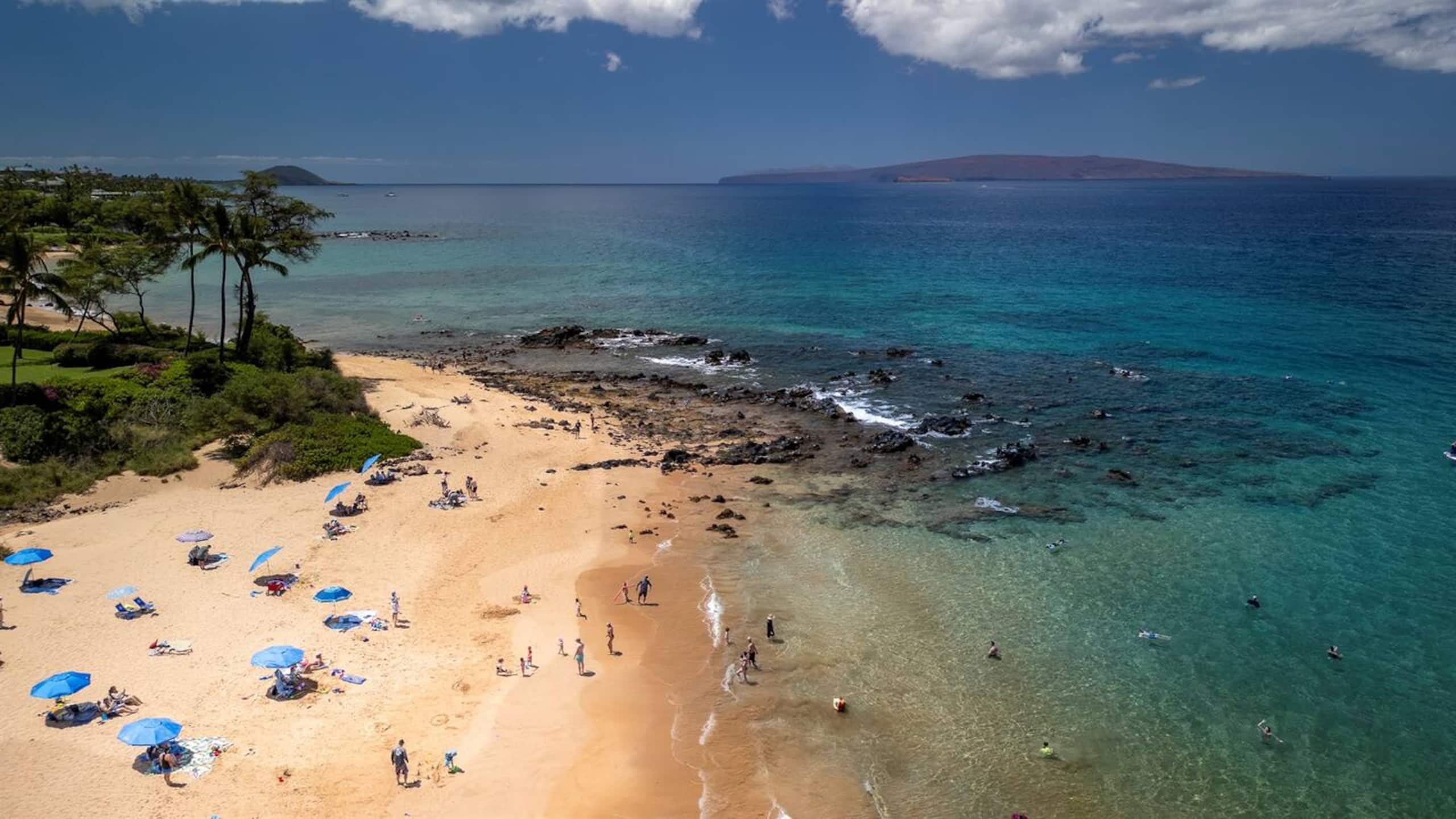Condo in Kihei · ★4.69 · 2 bedrooms · 2 beds · 2 private baths - Image 34