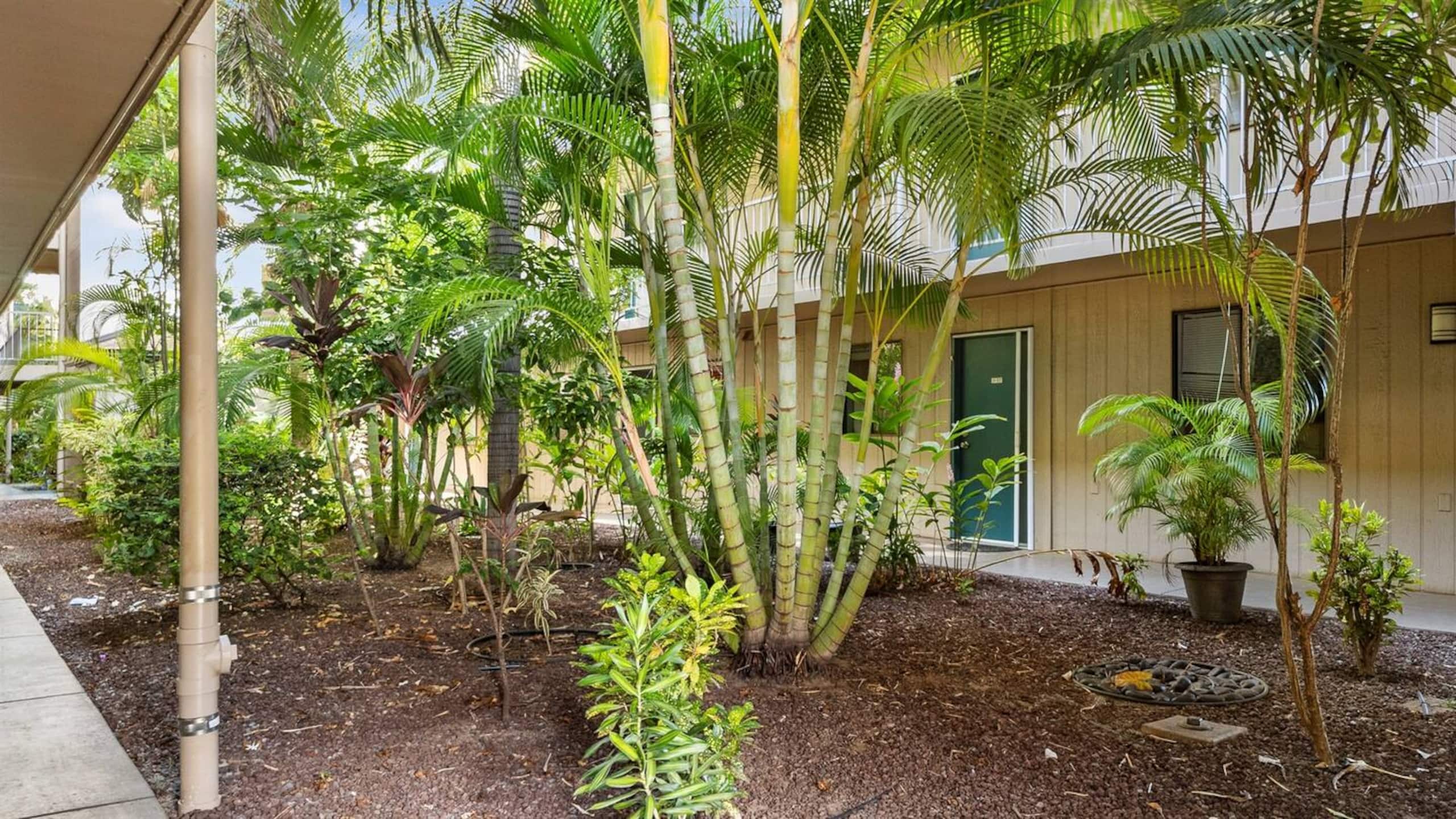 Condo in Kihei · ★4.69 · 2 bedrooms · 2 beds · 2 private baths - Image 30