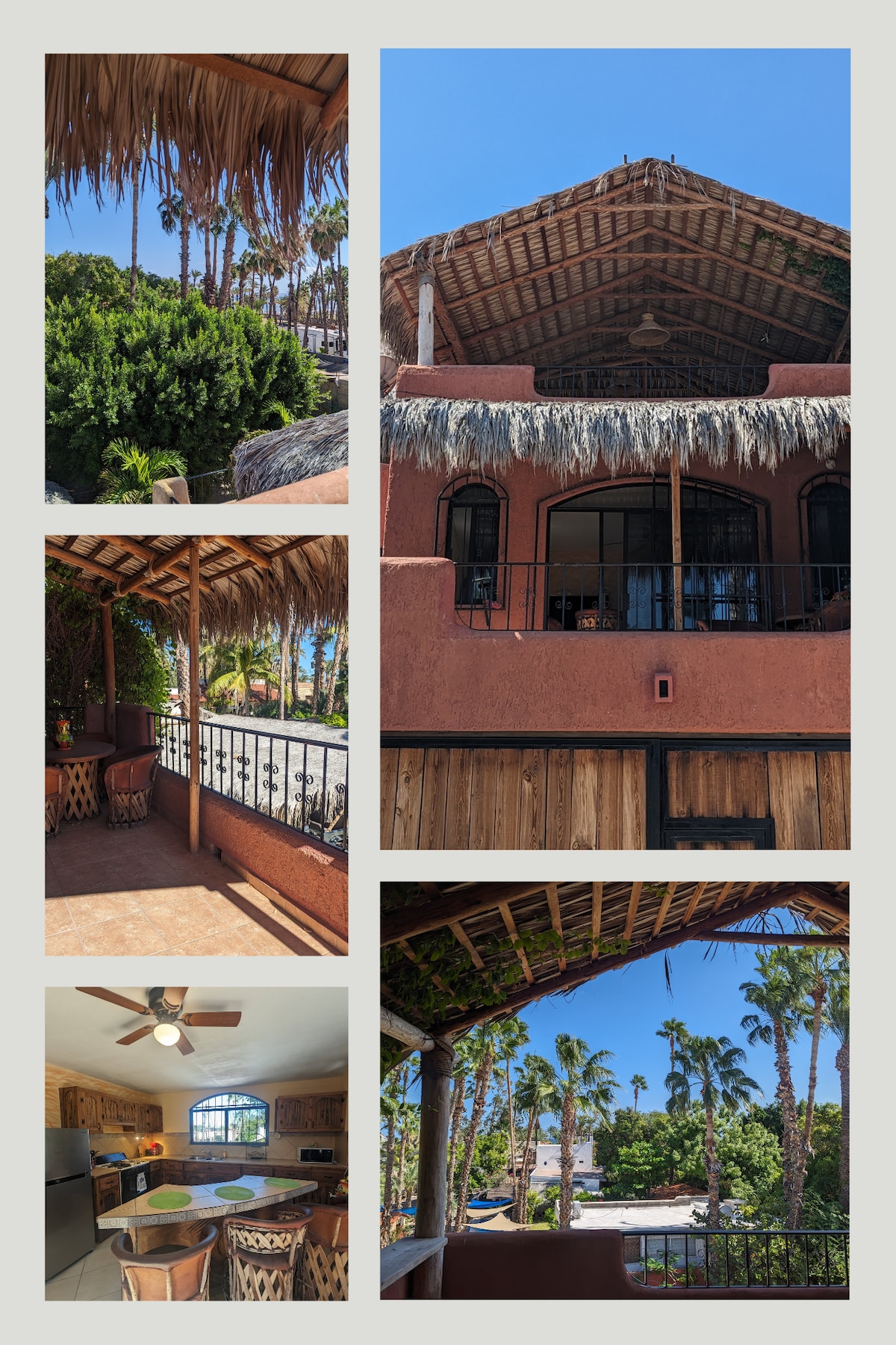 The image features a palapa-style rooftop patio with straw thatching, providing shade over a cozy seating area with views of palm trees and the surrounding landscape. A glimpse of the main house's vibrant exterior adds to the inviting ambiance.