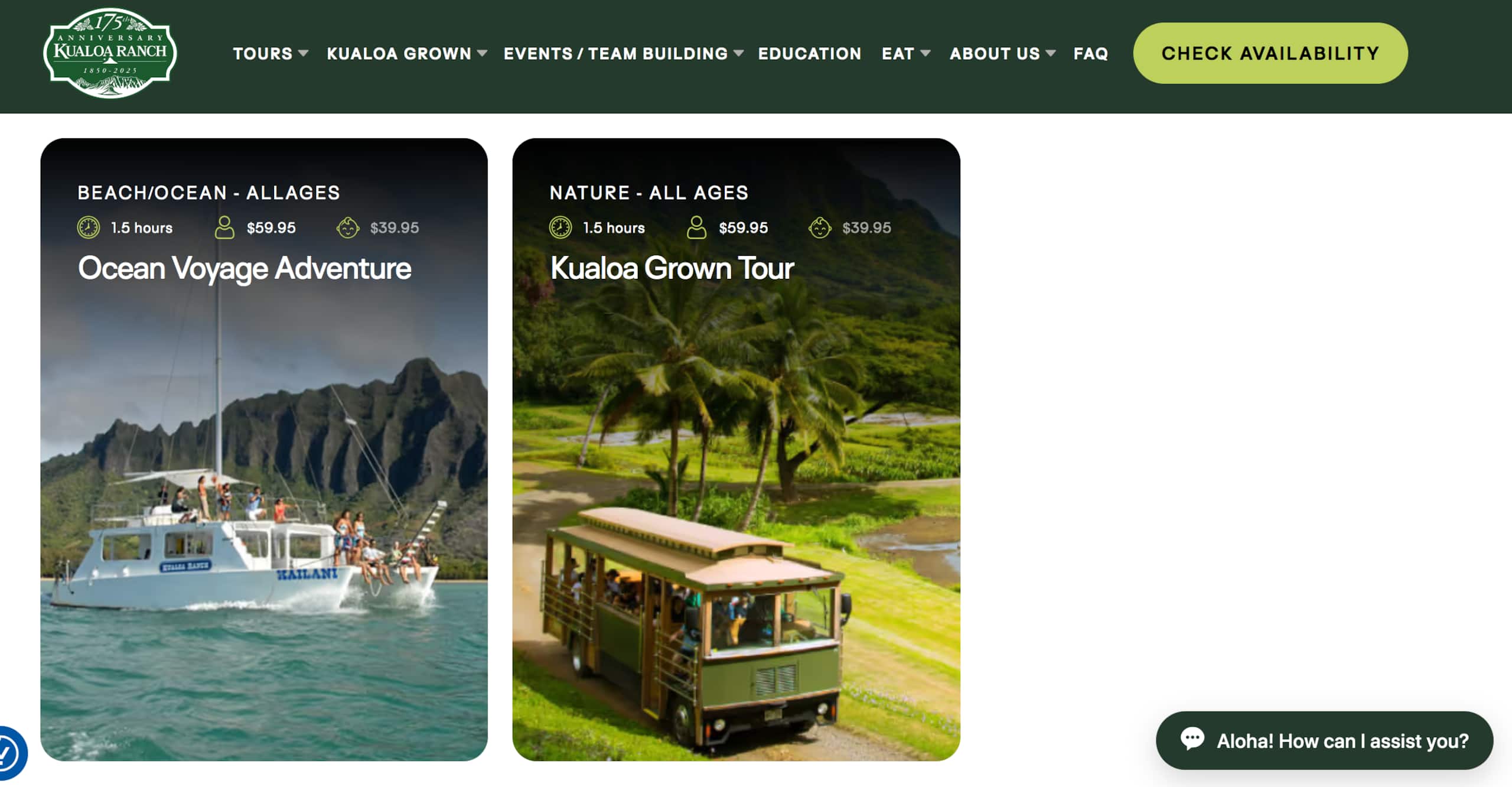 Living Local Style with Aloha - Image 17