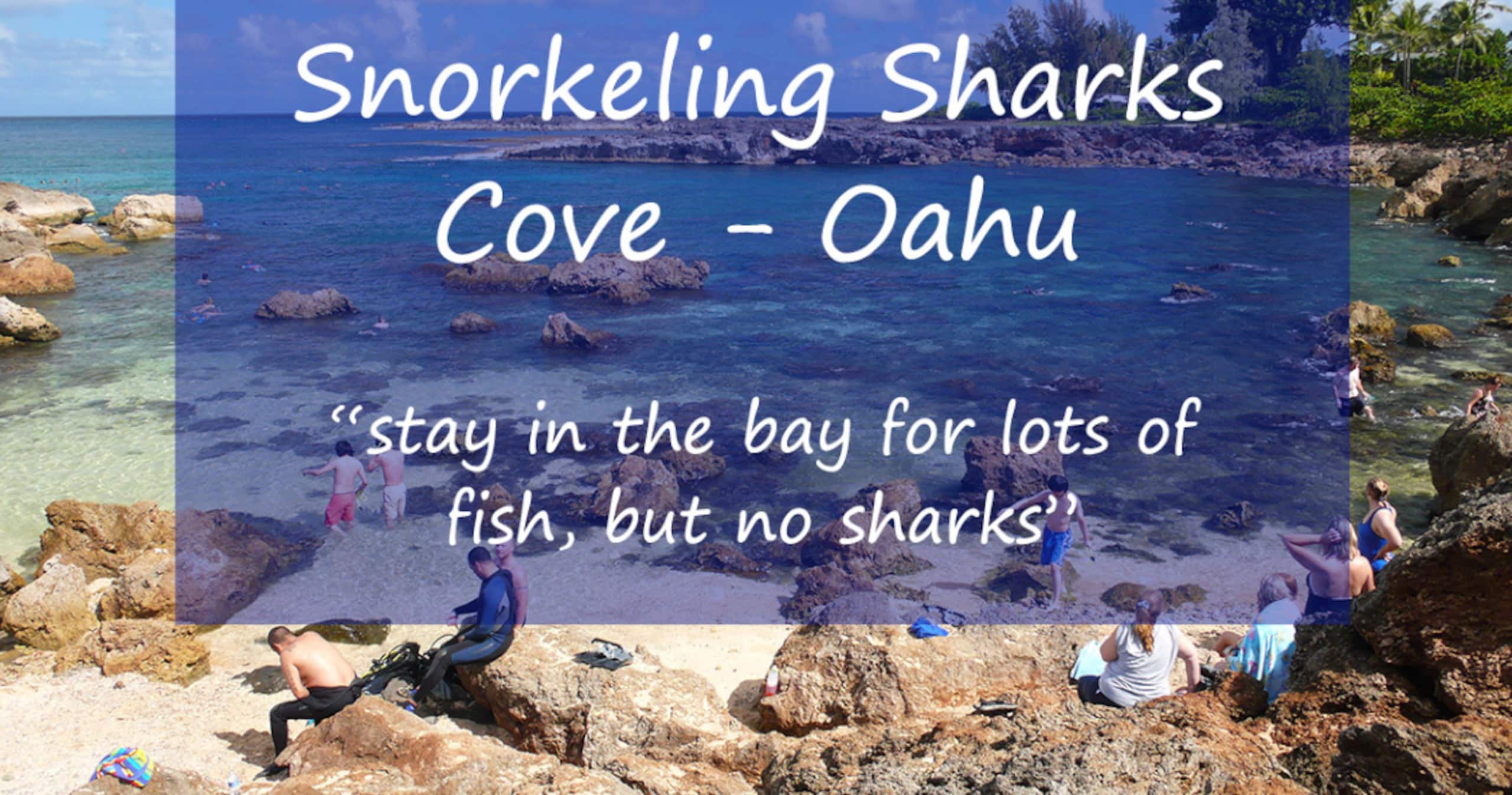 Living Local Style with Aloha - Image 28
