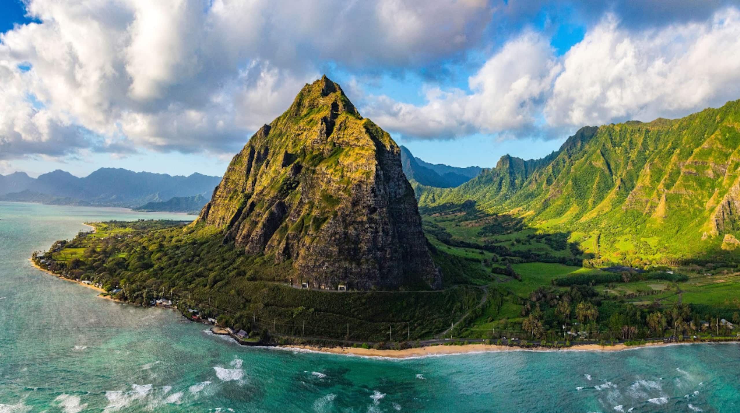 Living Local Style with Aloha - Image 12