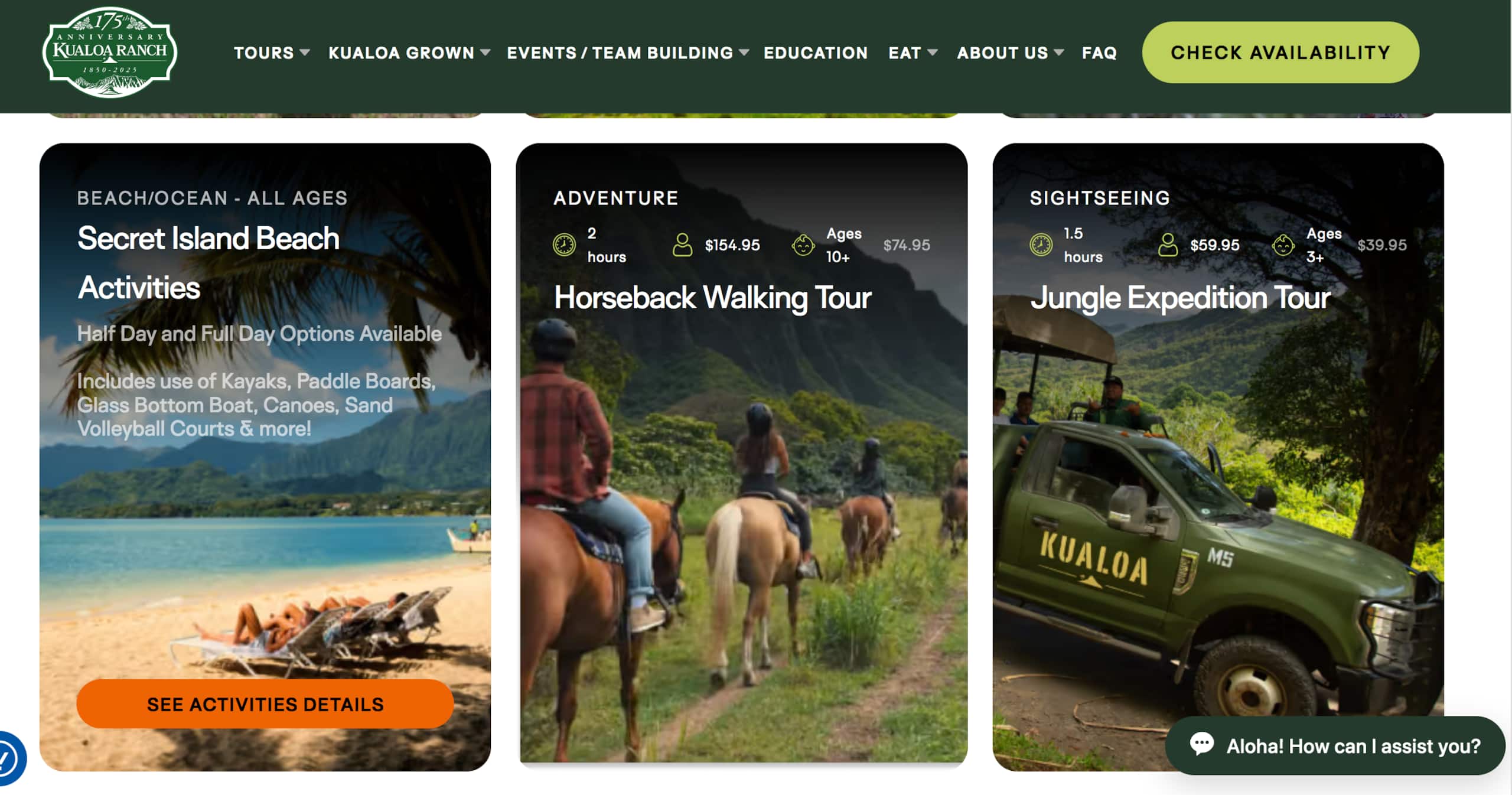 Living Local Style with Aloha - Image 15