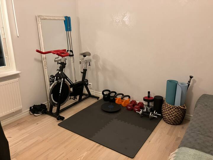 Sofá cama para 2 personas, 150*200 cm. Bicicleta estática y pesas.