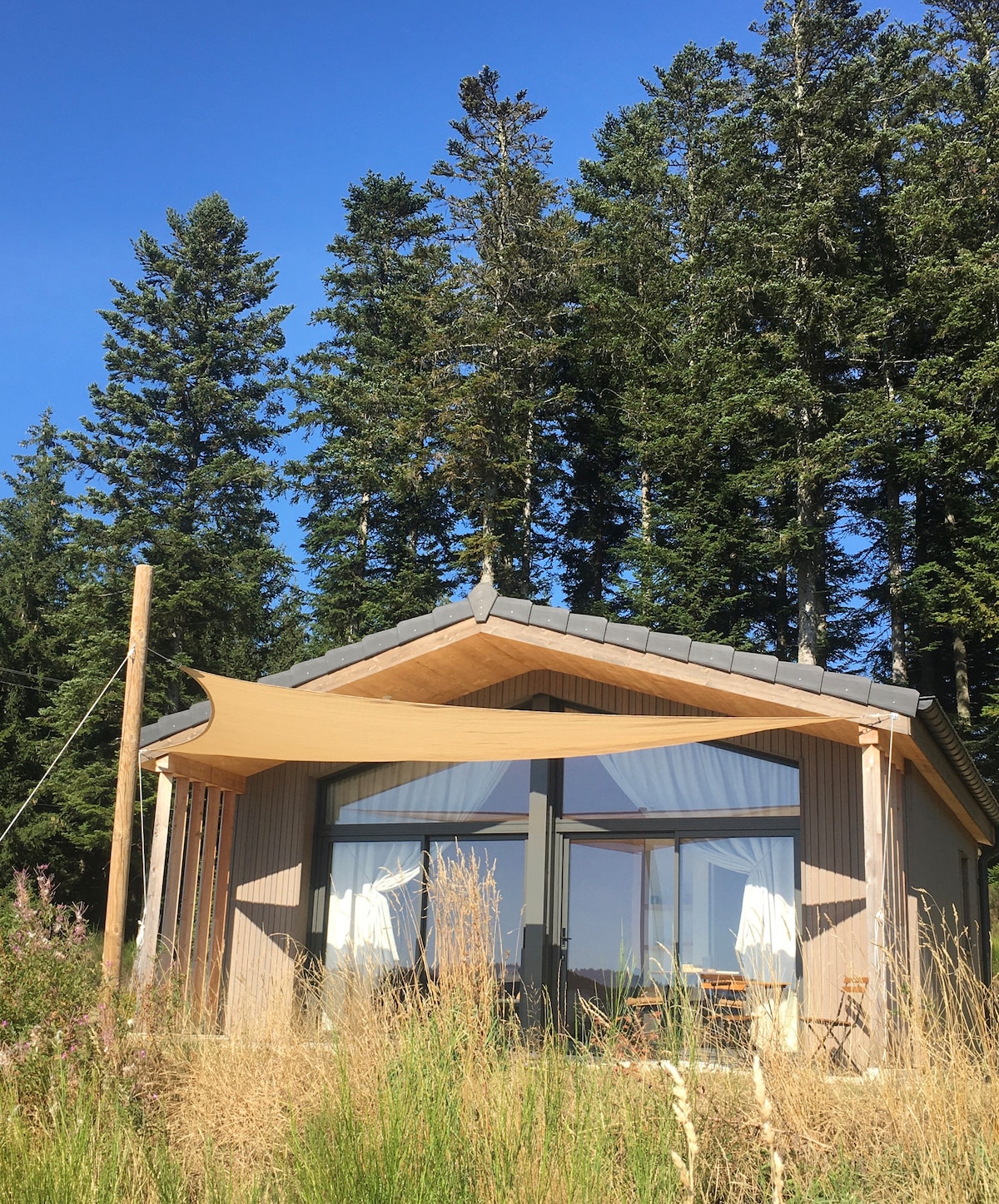 A serene lodge structure is framed by tall trees, showcasing a façade of large glass windows with natural light flooding the interior. A stylish awning provides shade, creating a welcoming entrance. Surrounding foliage adds a touch of nature to the atmosphere.