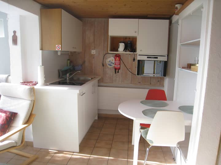 Gartenwohnung Mit Seesicht  Nl-00002778 - Locarno