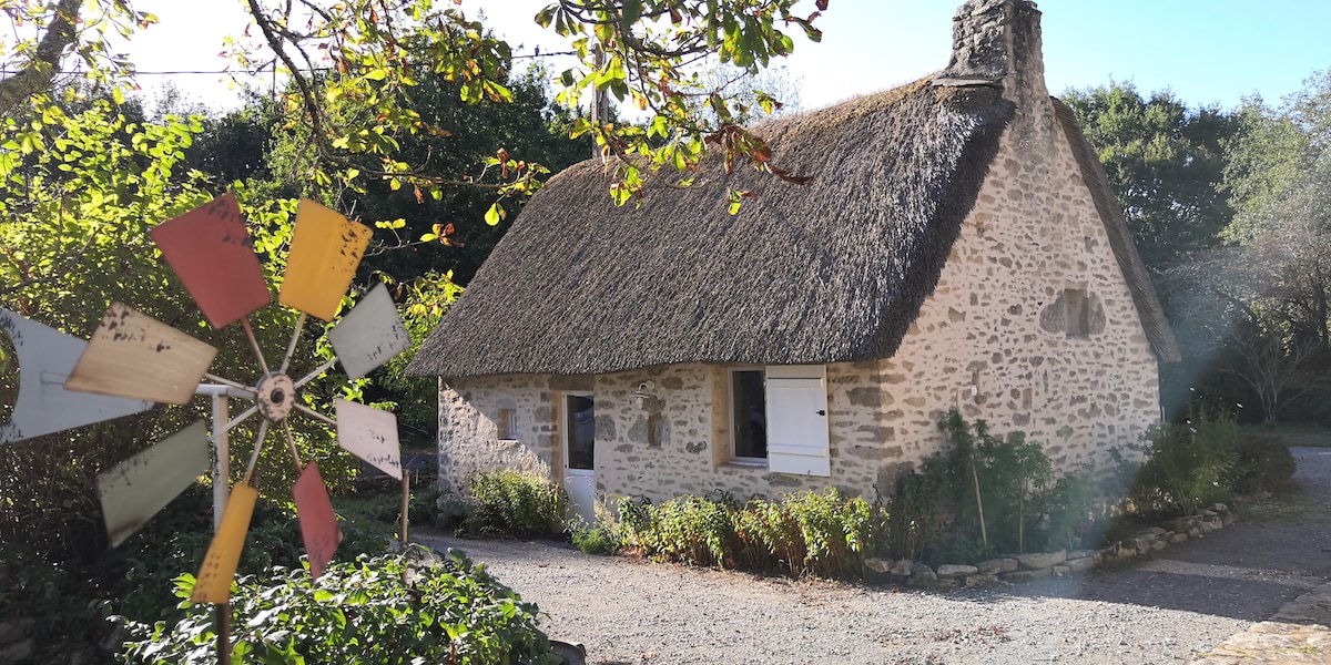 An authentic thatched cottage is set amidst lush greenery, with a stone facade and white-framed windows. A colorful windmill stands in the foreground, adding an artistic touch to the tranquil environment surrounding the property.
