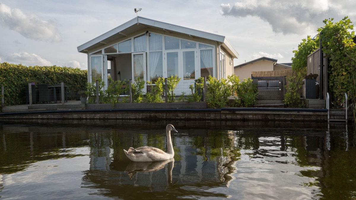 A modern villa sits beside a calm body of water, surrounded by lush greenery and hedges. A swan glides gracefully across the lake, reflecting the serene environment. Large glass doors facilitate natural light entry, connecting the indoor space with the outdoors.