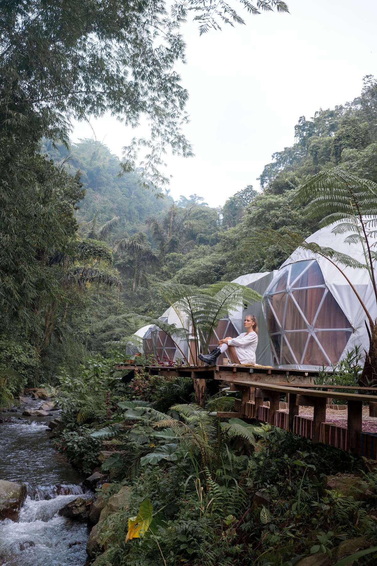 A serene setting is depicted along a pathway beside a gently flowing stream. Geodesic domes are positioned amid lush greenery, surrounded by dense jungle. Natural elements, such as ferns and tropical plants, enhance the tranquil atmosphere of this peaceful retreat.