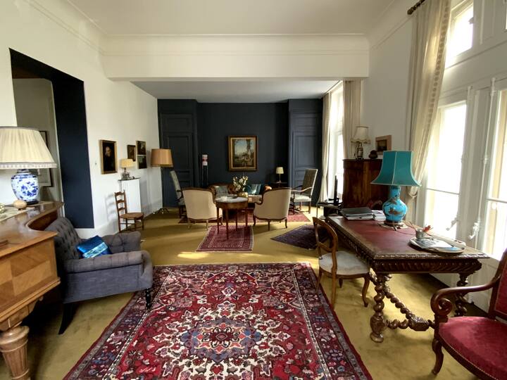 Maison De Maître App 4 Ch 4*tourisme Park Gratuit - Valence