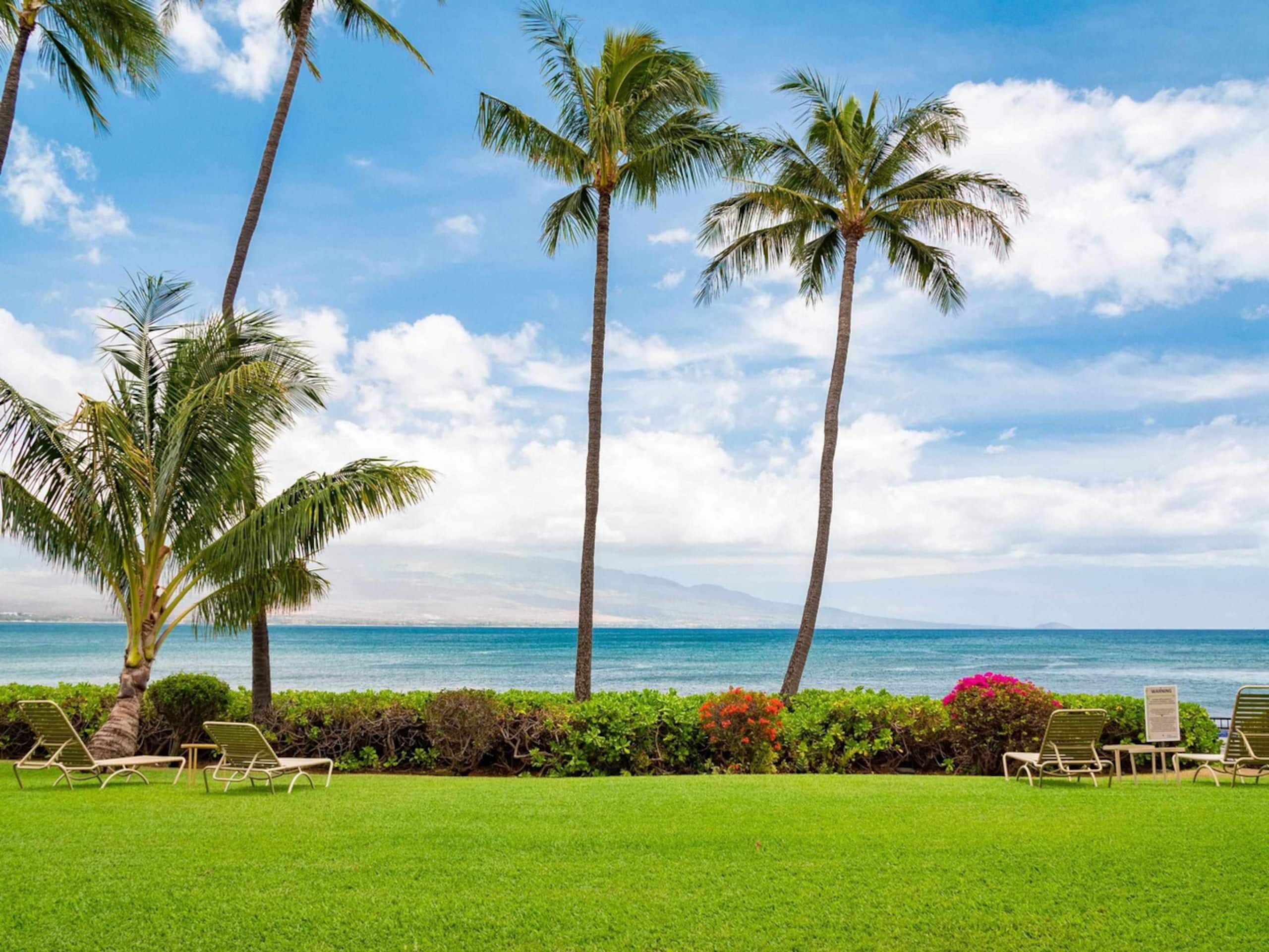 Condo in Wailuku · ★4.76 · 1 bedroom · 2 beds · 1 bath - Image 32