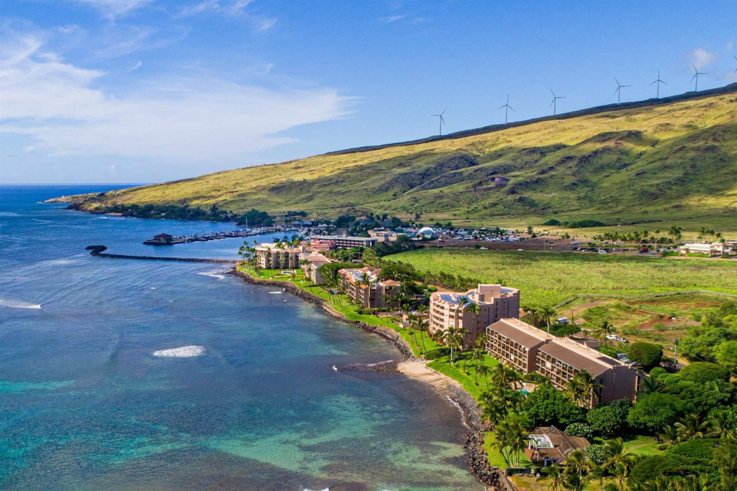 Condo in Wailuku · ★4.76 · 1 bedroom · 2 beds · 1 bath - Image 46