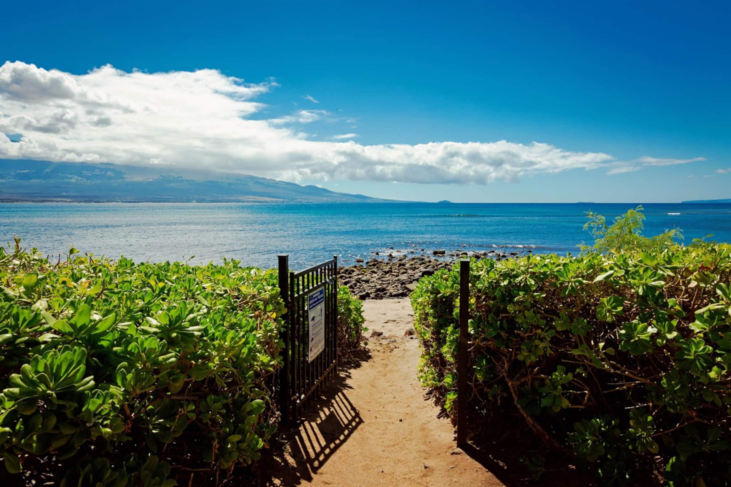 Condo in Wailuku · ★4.76 · 1 bedroom · 2 beds · 1 bath - Image 36