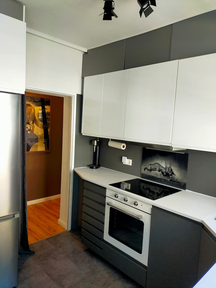 Apartment Next The River 1;5 Km From Mainstation - フランクフルト
