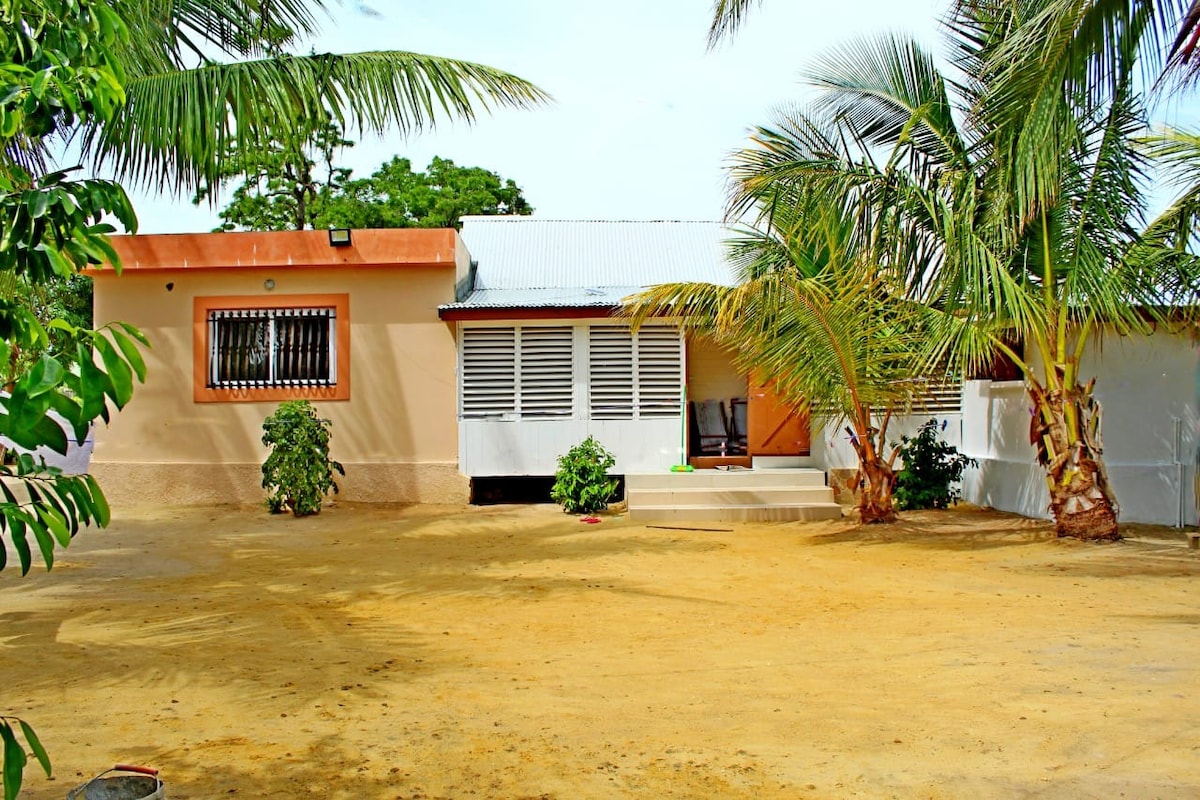 The exterior of the property features a sandy yard surrounded by palm trees, presenting a welcoming atmosphere. The house is designed with a light exterior and includes a small entryway with steps leading to the front door. Large windows allow natural light to enter the interior.