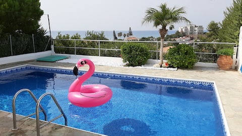 See view Palm Tree Villa