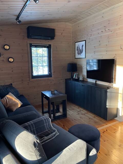 Successful Airbnb property: Great cabin with views in fantastic Telemark in Nissedal