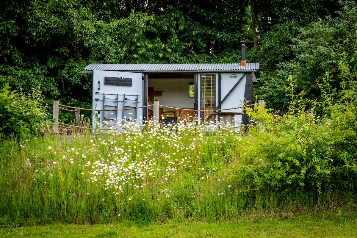 A converted railway waggon is surrounded by lush green grass and wildflowers, presenting a rustic charm. The structure features a metal roof and large windows, inviting natural light. Trees in the background enhance the serene atmosphere of the countryside setting.
