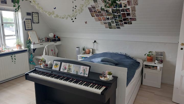 La habitación de las chicas tiene capacidad para 1-2 personas. Vista del vecindario y sol al atardecer, con la posibilidad de una agradable puesta de sol. Escritorio con silla de oficina.